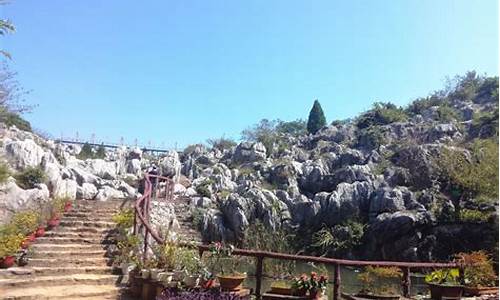 丫山花海石林景区_丫山花海石林景区什么时候开放