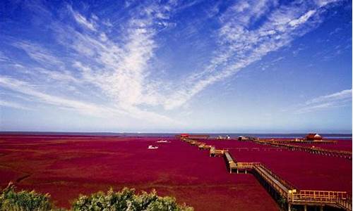 盘锦红海滩风景区_盘锦红海滩风景区稻田画