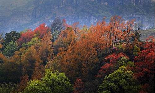 东川旅游景点介绍_东川风景区