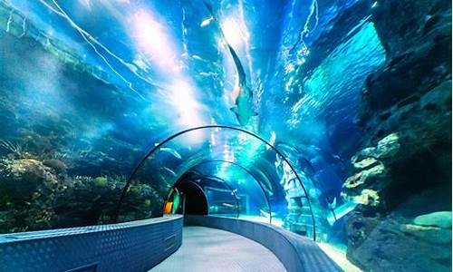 上海长风公园水族馆门票价格_上海长风公园水族馆门票