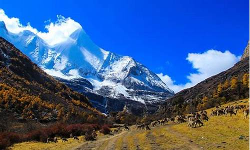 甘孜稻城亚丁旅游攻略_四川甘孜稻城亚丁山林风光