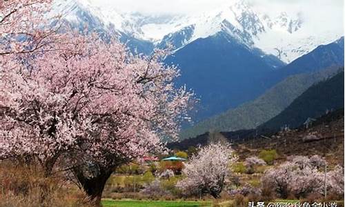 林芝景点推荐_林芝景点推荐 旅游景点排名