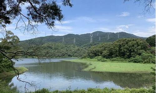 厦门天竺山森林公园划船_厦门天竺山森林公园划船多少钱