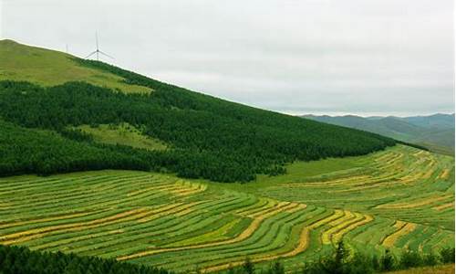 草原天路自驾游攻略3天2晚怎么过啊_草原天路自驾游最佳路线