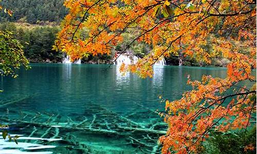 九寨沟旅游景点天气预报_九寨沟旅游景点天气预报15天